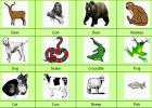 Animals | Recurso educativo 34565