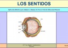 Los sentidos | Recurso educativo 34792