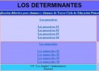 Los determinantes | Recurso educativo 35291