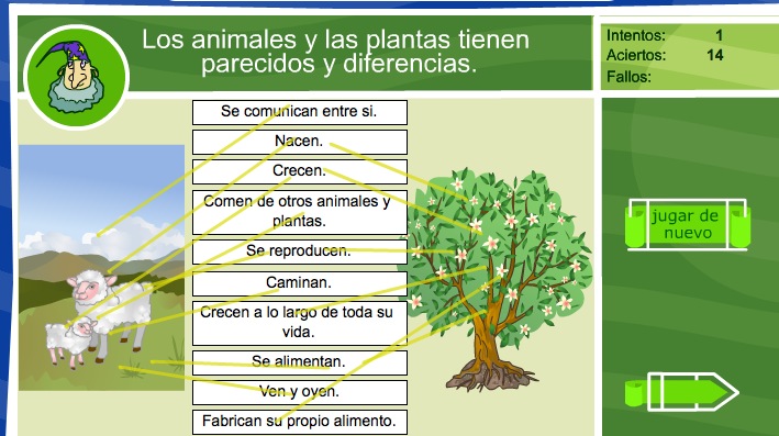 Los animales y las plantas: cosas en común | Recurso educativo 35633