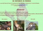 Els vertebrats de Menorca | Recurso educativo 38282