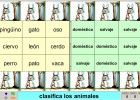 Animales domésticos y salvajes II | Recurso educativo 39458