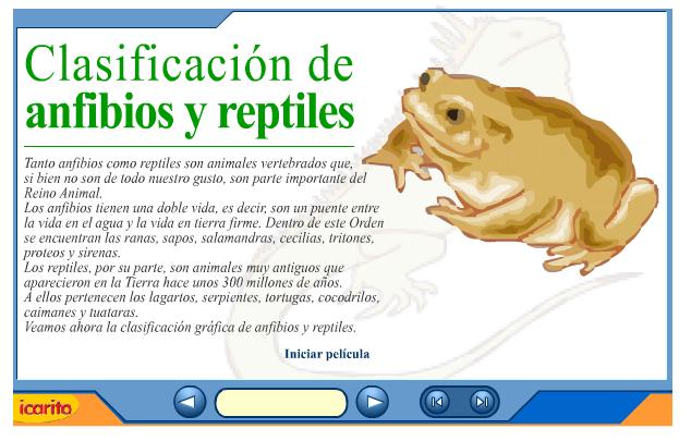 Clasificación de anfibios y reptiles | Recurso educativo 39463