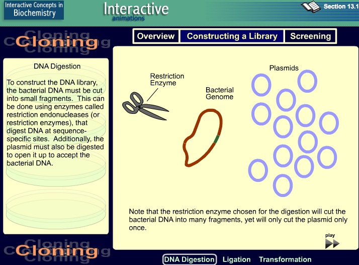 Video: Cloning tutorial | Recurso educativo 39913