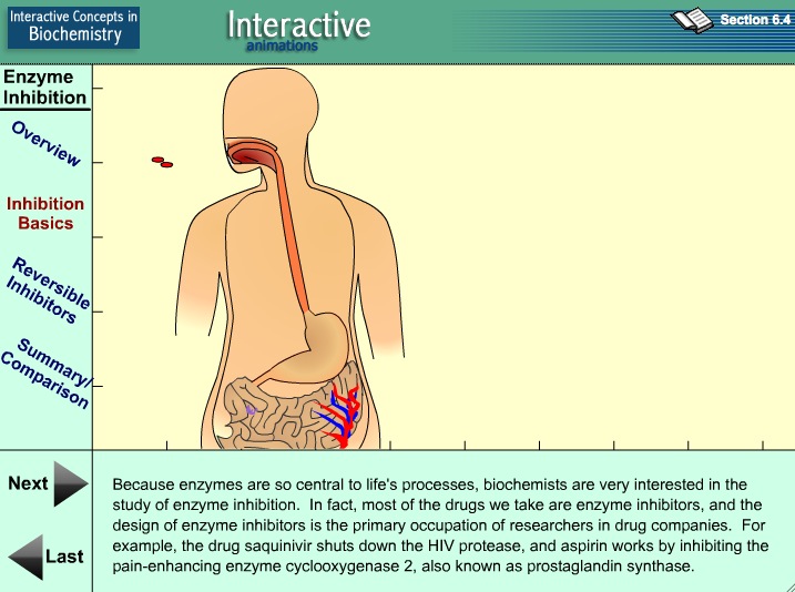 Video: Enzyme Inhibition | Recurso educativo 39917