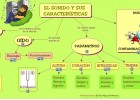 El sonido | Recurso educativo 40156