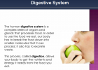 The digestive system | Recurso educativo 40388