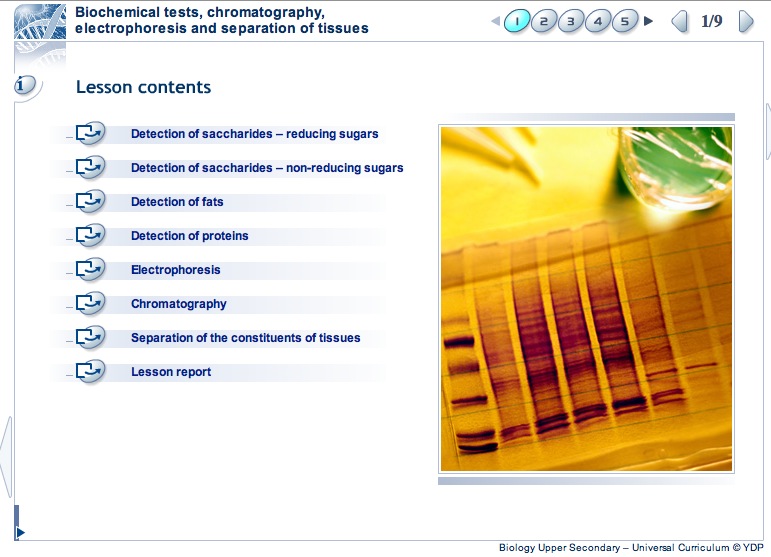 Biochemical tests, chromatography, electrophoresis and separation of tissues | Recurso educativo 41249