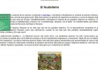 El Feudalismo | Recurso educativo 41434