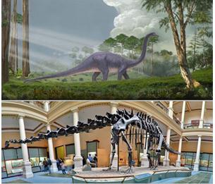 El Diplodocus. Largo como un tren | Recurso educativo 44737