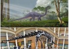 El Diplodocus. Largo como un tren | Recurso educativo 44737