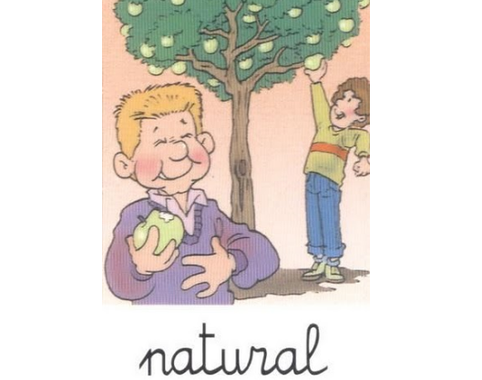 Adjetivo: natural | Recurso educativo 44961