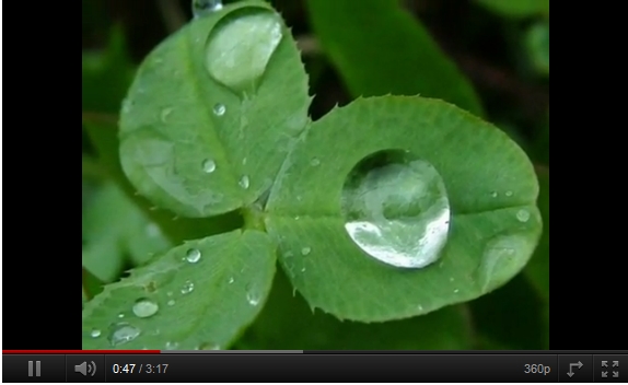 The Water Cycle Song | Recurso educativo 45111