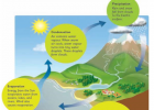 Water cycle | Recurso educativo 45566