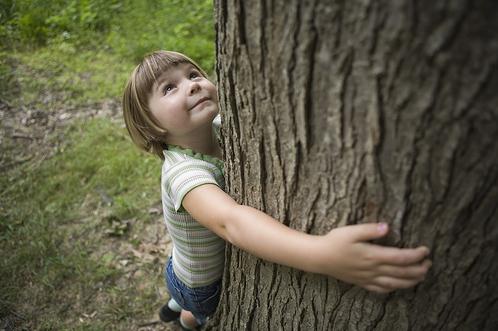 Educación ambiental | Recurso educativo 46611