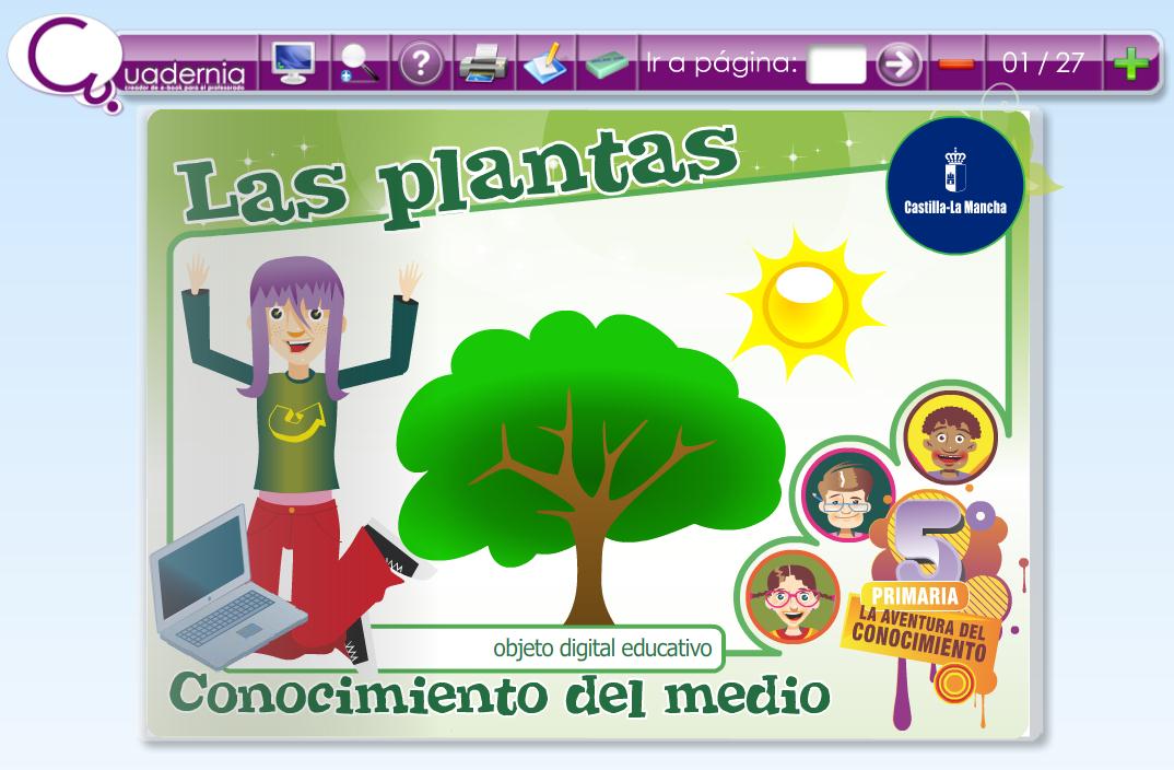 Las plantas | Recurso educativo 47186