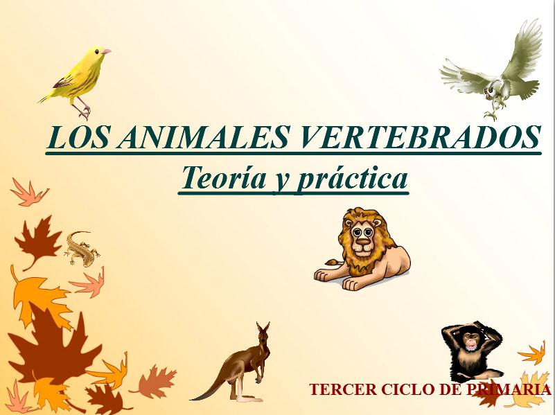 Los animales vertebrados: Teoría y práctica | Recurso educativo 47439