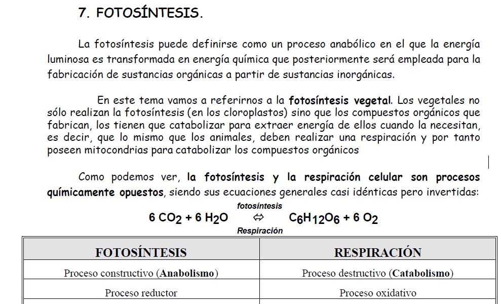 Fotosíntesi | Recurso educativo 47615