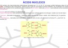 Estructura de l'ADN | Recurso educativo 49092