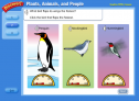 Birds | Recurso educativo 58951