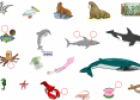 Sea animals | Recurso educativo 14219