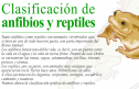 Clasificación de anfibios y reptiles | Recurso educativo 17682