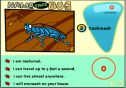 Name that bug | Recurso educativo 21763