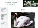 Las aves | Recurso educativo 22246