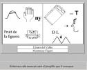 Cinemàtica rectilínea | Recurso educativo 6098