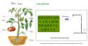 Juego del ahorcado: las plantas. | Recurso educativo 7216