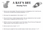 A rat's life | Recurso educativo 63345