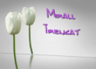 Mirall trencat | Recurso educativo 64409