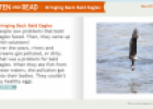 Bringing back bald eagles | Recurso educativo 64694