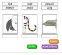 Wild animals and their parts | Recurso educativo 65090