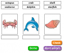 Sea life | Recurso educativo 65229