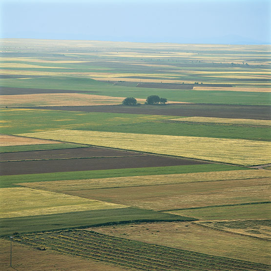 Elementos del paisaje agrario | Recurso educativo 72542