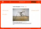 Louise Bourgeois's The Nest | Recurso educativo 75833