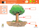 Somos investigadores: Las partes del árbol | Recurso educativo 79384