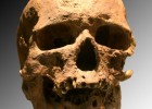 El procés d’Hominització | Recurso educativo 80685