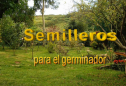 Semilleros para el germinador | Recurso educativo 80791