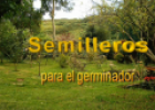 Semilleros para el germinador | Recurso educativo 80791