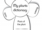 Ficha my plants dictionary - Dibujalia. Dibujos para colorear.  - Profes - Ciencias - Ficha my plants dictionary | Recurso educativo 89199