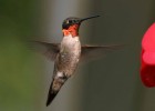 Tierra, agua, aire y fuego: naturaleza en movimiento con time-lapse y cámaras de alta velocidad | Esfera TIC | Recurso educativo 90713