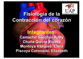 Sistema de Conducción Cardiaca | Recurso educativo 94776