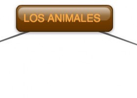 Los-animales_1w8xnl5y.jpg | Recurso educativo 109942