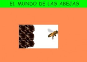 EL MUNDO DE LAS ABEJAS | Recurso educativo 495202