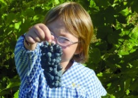 La vida en las masías. Un proyecto de todo un pueblo.  | Recurso educativo 626236