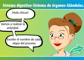 ¿Cómo está formado nuestro sistema digestivo? | Recurso educativo 680491