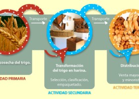 Urbano y rural: el circuito productivo del trigo | Recurso educativo 680501