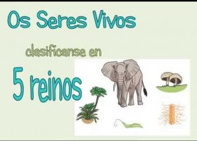 Os Seres Vivos | Recurso educativo 683804